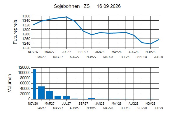 Terminstruktur im Verlauf -ZS